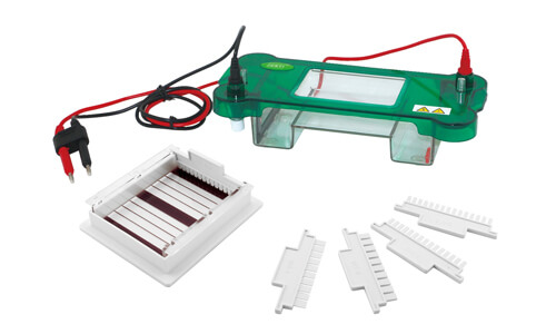Technical Performance and Safety of the Horizontal Electrophoresis YR03416