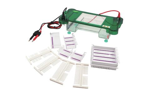 Horizontal Electrophoresis YR03417: Practical Laboratory Use