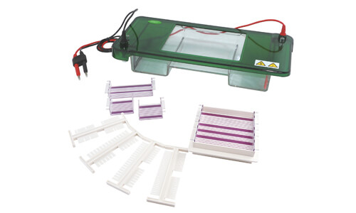 Horizontal Electrophoresis YR03418: Sector-Specific Applications and Adaptations 2026