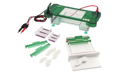 Understanding the Operating Principle and Scientific Foundation of the YR03419 Horizontal Electrophoresis Unit