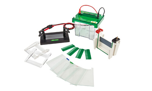 Predictive Maintenance and Recommended Calibration for Vertical Electrophoresis Systems