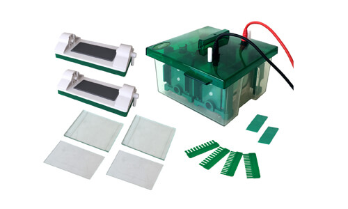 Installation and Commissioning Guide for the YR03427 Mini-Protean Vertical Electrophoresis Cell