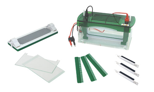 Sector Adaptations of the YR03430 Vertical Electrophoresis: Clinical, Industrial, Food, Veterinary, and Educational Applications