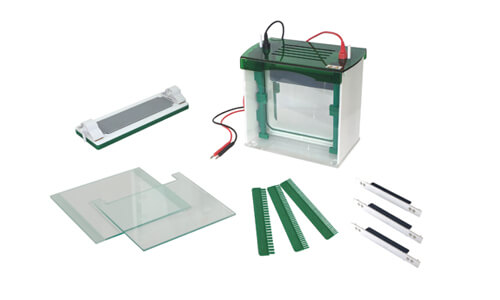 Understanding the Operating Principle and Scientific Basis of the YR03431 Rapid Vertical Electrophoresis Tank