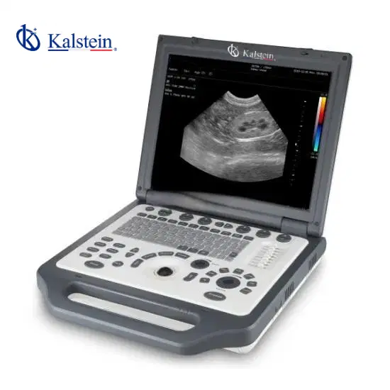 Veterinary Color Doppler: Predictive Maintenance and Recommended Calibration 2026