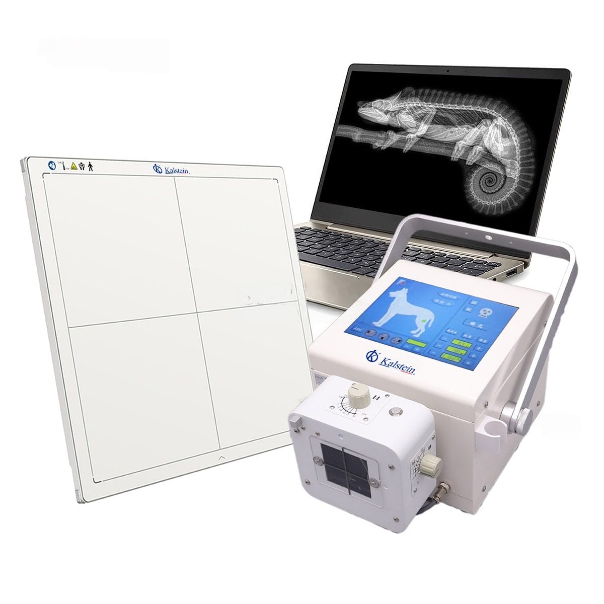 Portable Digital Veterinary X-Ray YR06160: Specifications Comparison and Insights
