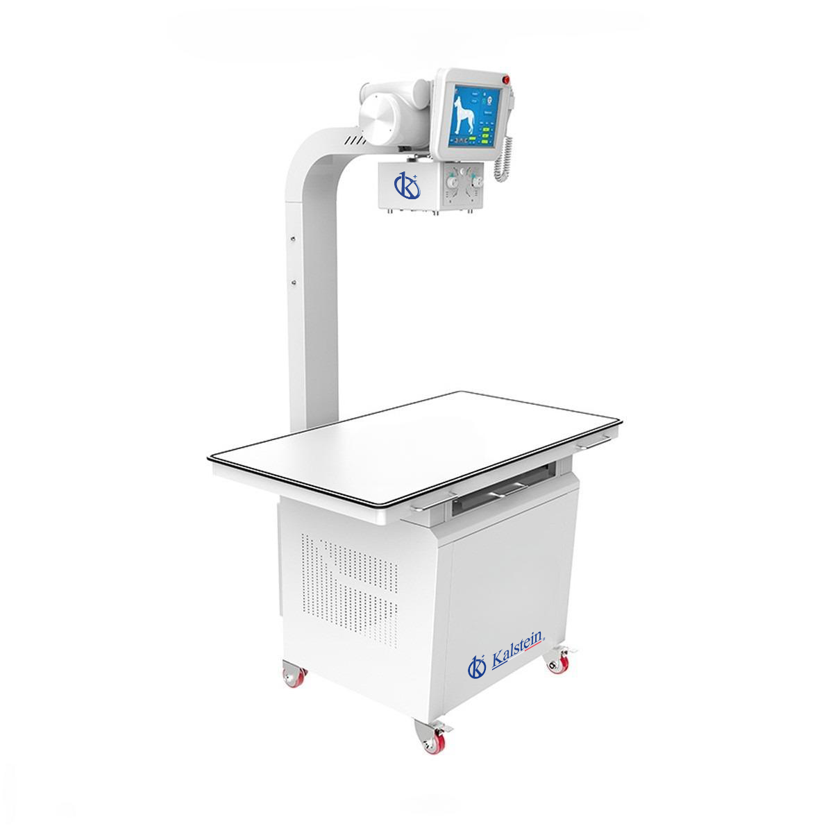 Digital Veterinary X-rays (DR) YR06162: Field Integration Insights