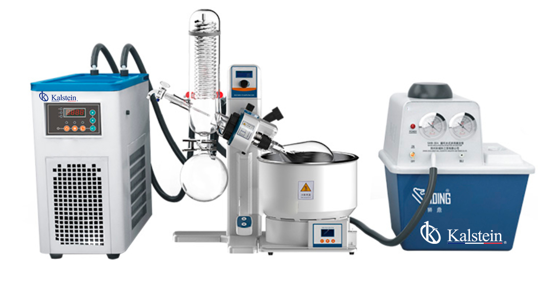 Uses and Applications in the Food Industry