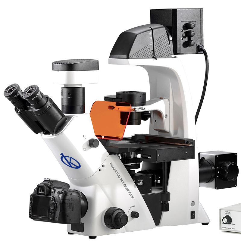 Microscopes: care and maintenance