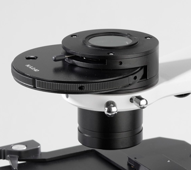 Discover the World Through Kalstein Microscopes: Uncovering the Invisible
