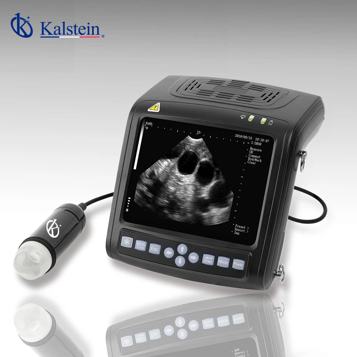 Doppler Technology in Veterinary Ultrasound for Vascular Assessment