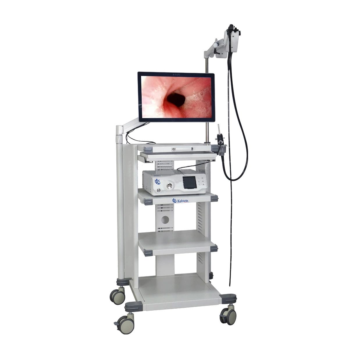 Discover the Cutting-Edge Veterinary Video Endoscope from Kalstein