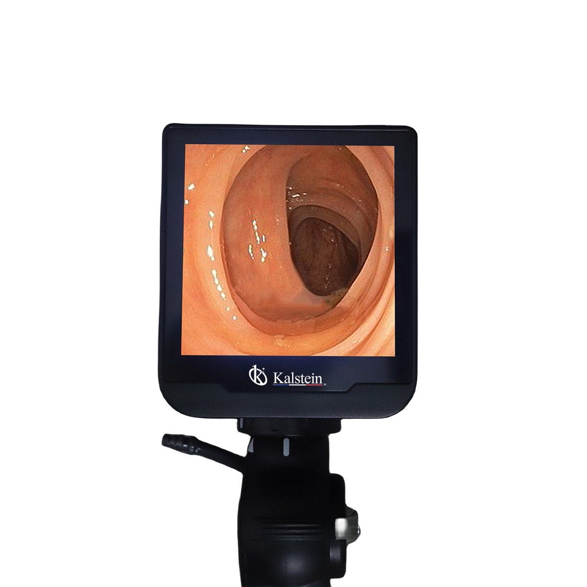 Veterinary Video Endoscope for Precise Internal Diagnostics