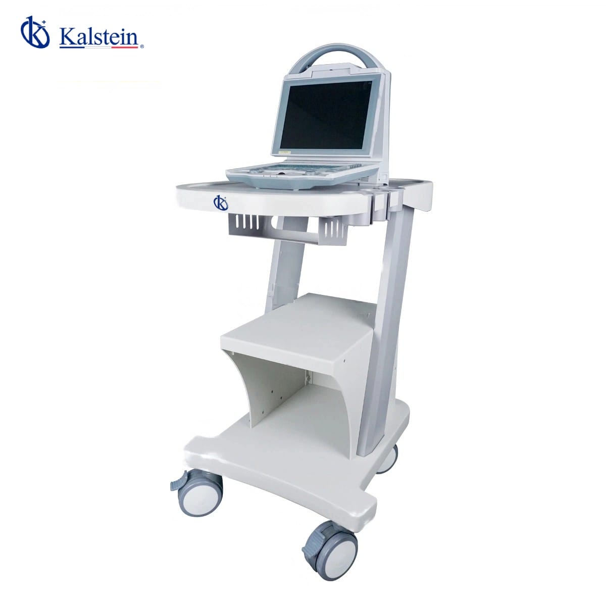 Unveiling the Power of Veterinary Ultrasound: Kalstein's Cutting-Edge Technology