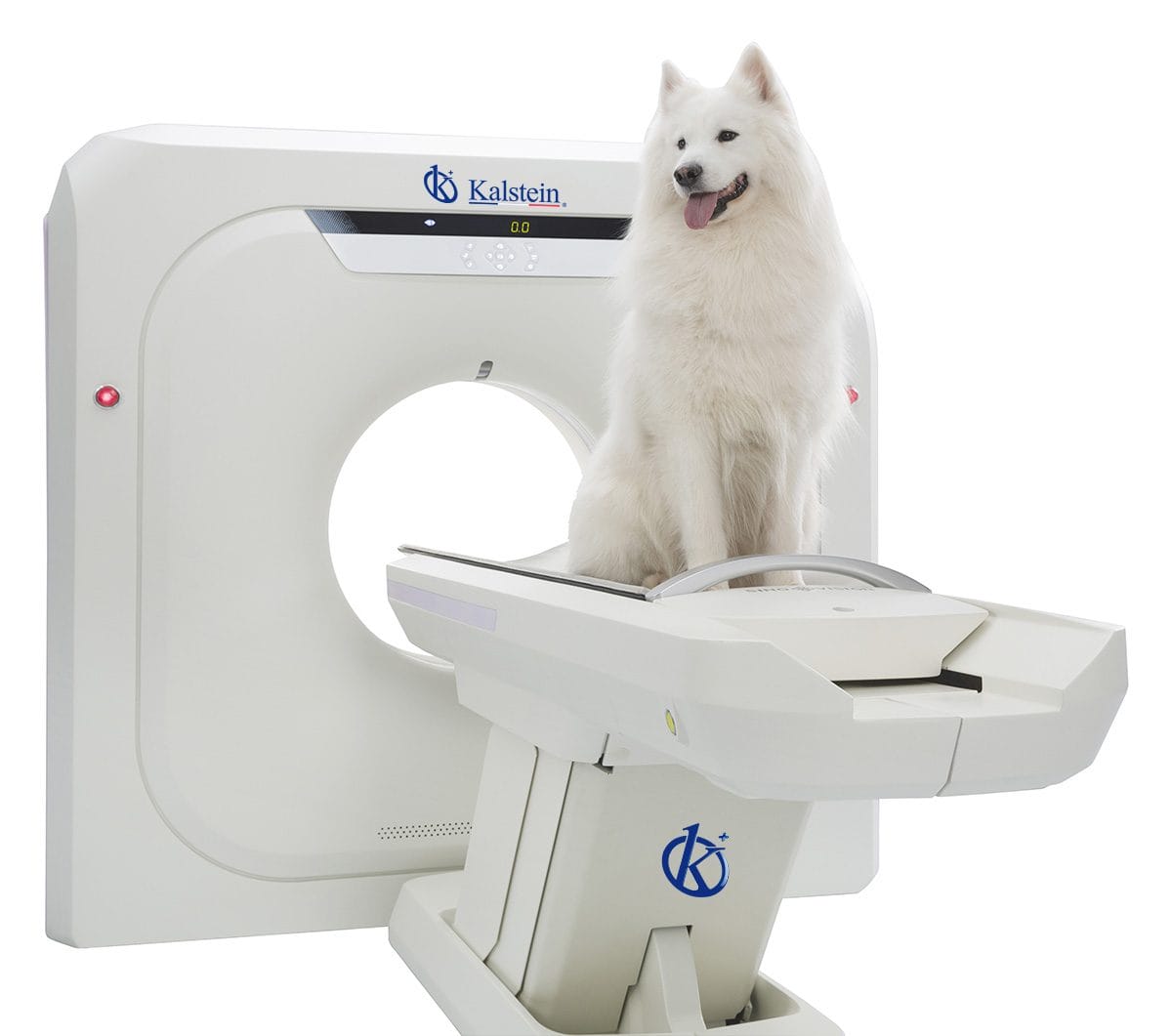 Exploring the Power of Veterinary CT Scanners: Innovation in Animal Healthcare