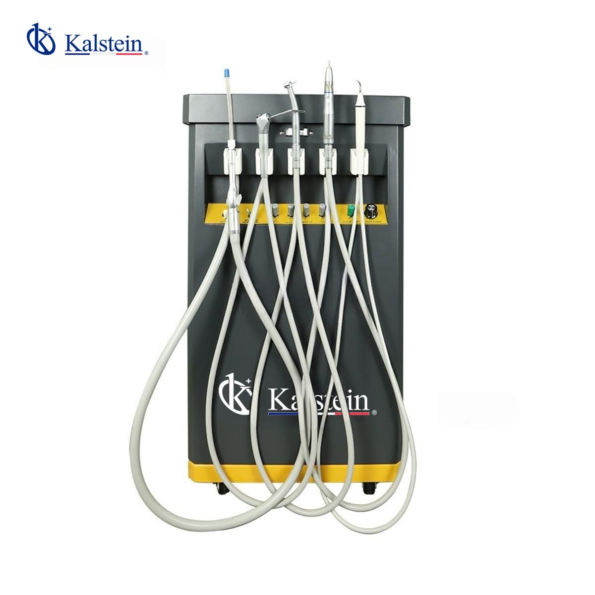 Improving Accuracy: The Revolution of Kalstein's Veterinary Dental Unit in Pet Care 