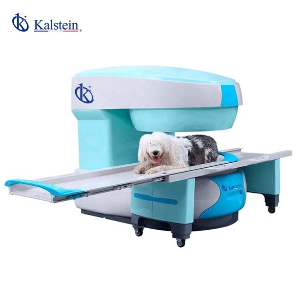 Unlocking the Potential of Veterinary MRI: A Comprehensive Guide