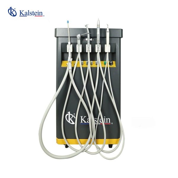 Exploring the Veterinary Dental Unit: Elevating Pet Dentistry with Kalstein