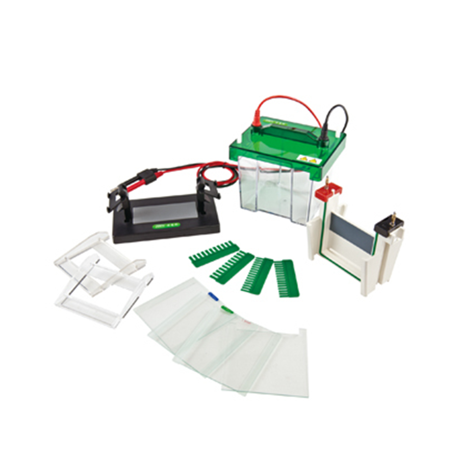 Comprehensive Design in Electrophoresis: A Guide to Acquiring the Best Laboratory Equipment