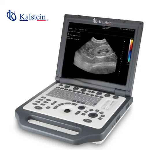 Revolutionizing Veterinary Care: The Unparalleled Impact of Kalstein's Veterinary Ultrasound
