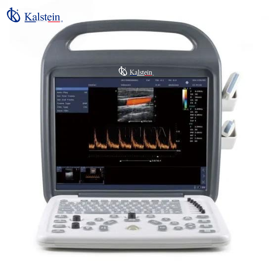Veterinary Color Doppler Systems: A Detailed Comparison of Kalstein YR06140 and Mindray Z5Vet