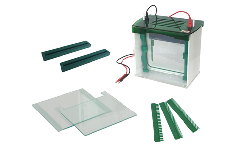 Advanced Technology in Electrophoresis: Precision and Speed in Genetic Analysis