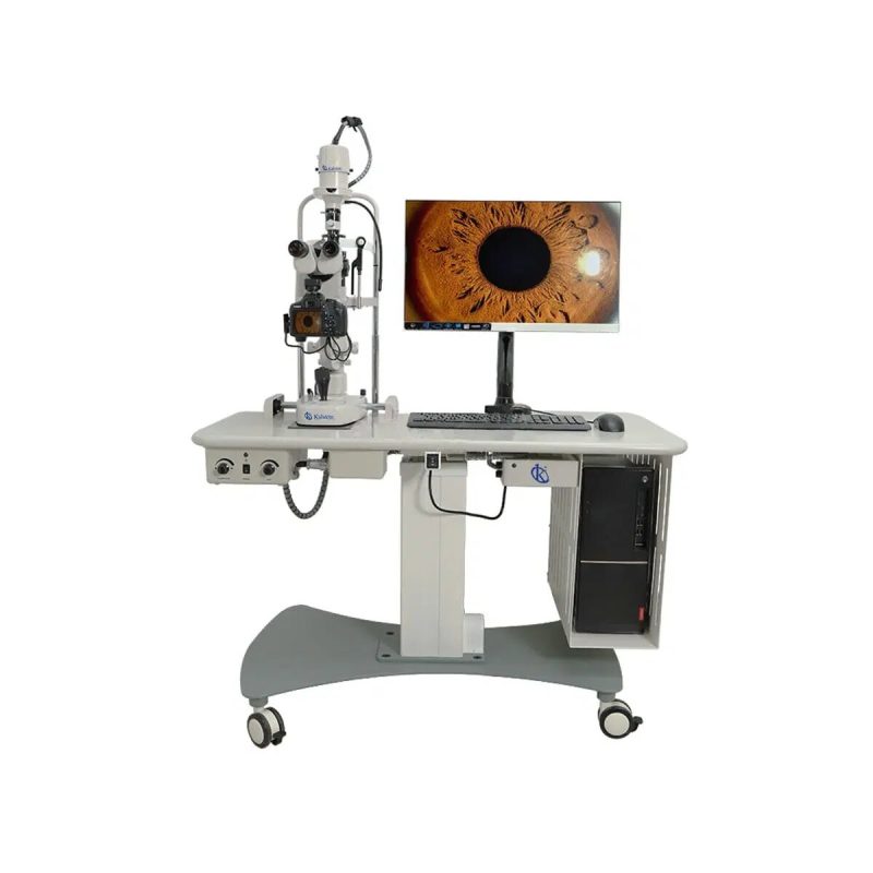High-Precision Veterinary Lamps for Optimal Lighting in Delicate Procedures
