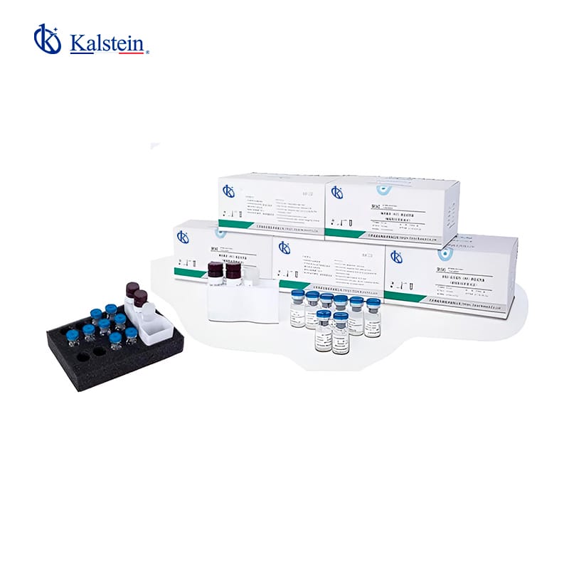 Reactants for Precise Analysis: Quality and Consistency in Every Test