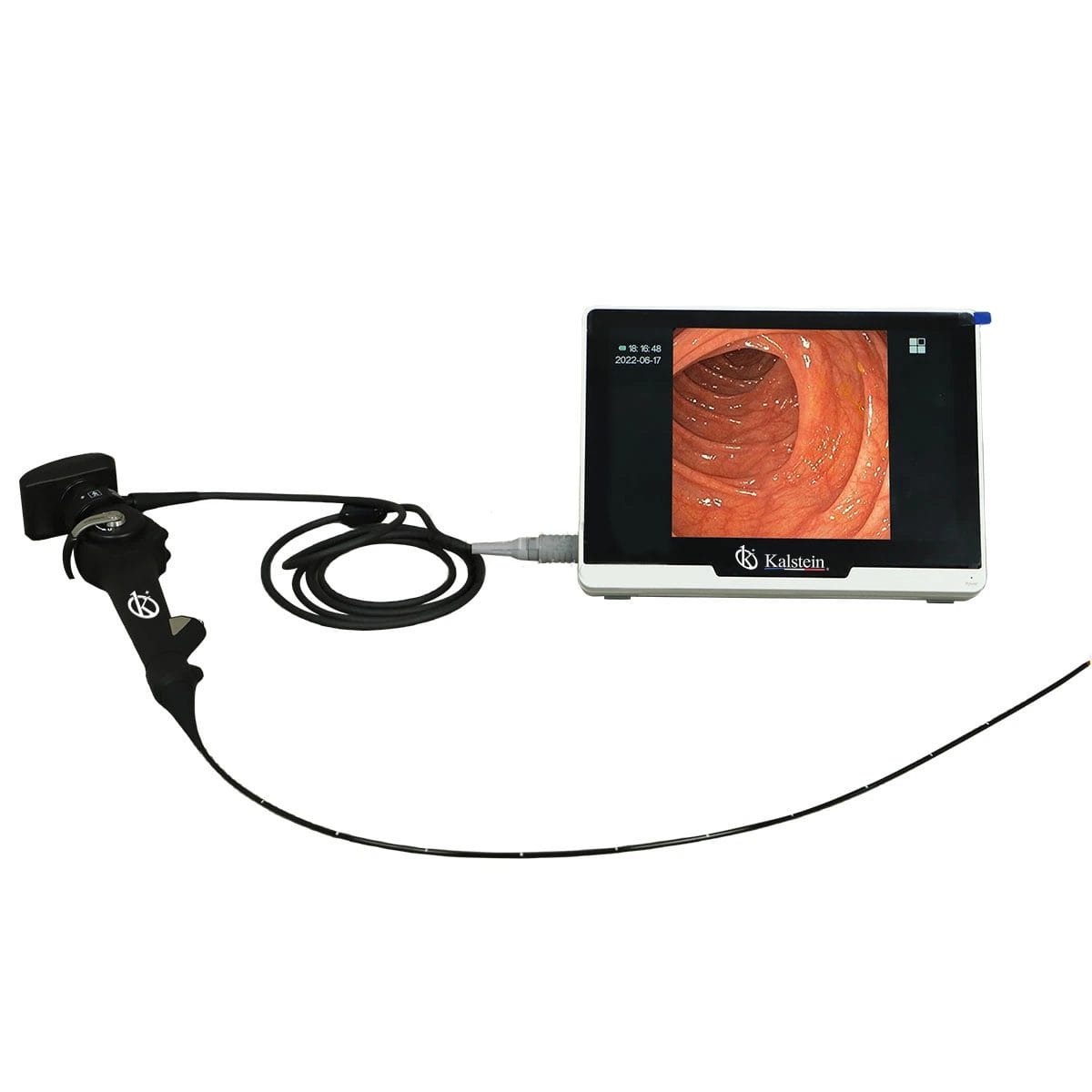 Veterinary Video Endoscope