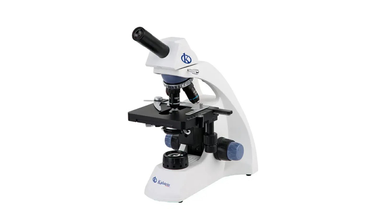 Practical Use of Microscope Trinocular YR0242-T in Laboratories