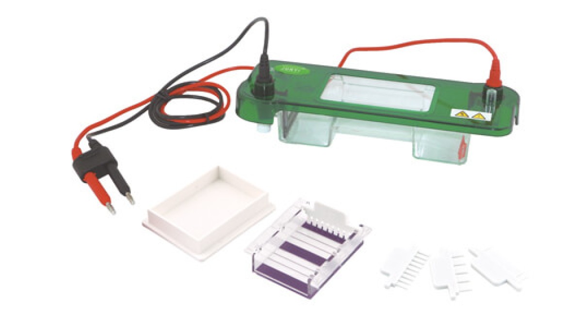 Horizontal Electrophoresis: Common Errors and How to Avoid Them in Daily Operation 2026
