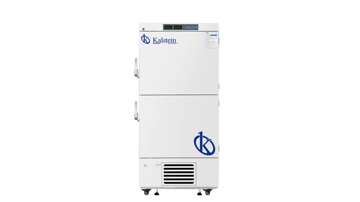 Vertical Freezer YR05098: A Comprehensive Overview